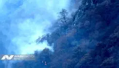 سند مالکیت جنگل‌های هیرکانی