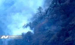 سند مالکیت جنگل‌های هیرکانی