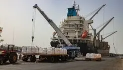 برگزاری نشست مشترک وزارت جهاد کشاورزی با دستگاه‌های حاکمیتی و تشکل‌های بخش خصوصی