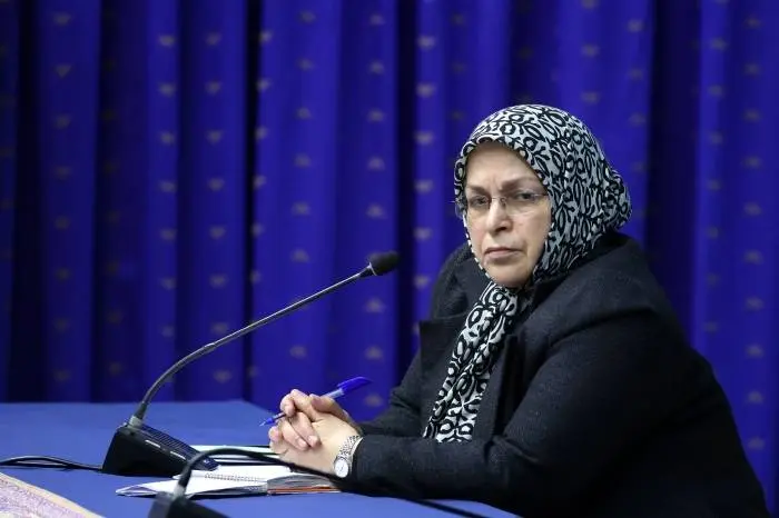 واکنش آذر منصوری به استرداد لایحه دولت