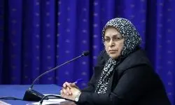 واکنش آذر منصوری به استرداد لایحه دولت