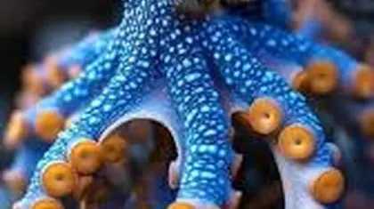 آیا اختاپوس‌ها از فضا آمده‌اند؟