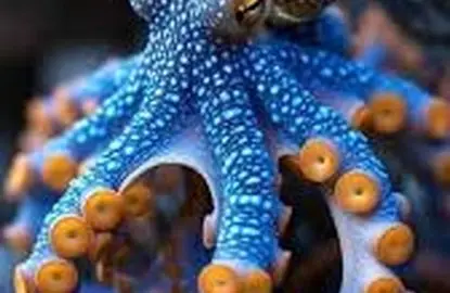 آیا اختاپوس‌ها از فضا آمده‌اند؟