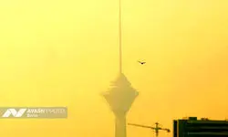 افزایش ۱۰ برابری شروع آنفلوآنزا بخاطر آلودگی هوا