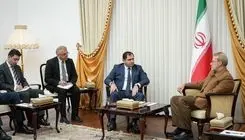 وزیر دفاع ارمنستان با لاریجانی دیدار کرد