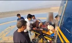 حمله ترسناک حمله خرس سیاه به یک چوپان/ نجات معجزه‌آسای چوپان بیچاره