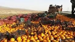 واژگونی کامیون حامل مرکبات و همدلی زیبای مردم در فیروزکوه +فیلم