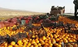 واژگونی کامیون حامل مرکبات و همدلی زیبای مردم در فیروزکوه +فیلم