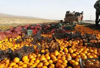 واژگونی کامیون حامل مرکبات و همدلی زیبای مردم در فیروزکوه +فیلم