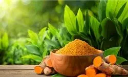  زردچوبه لاغر کننده قوی