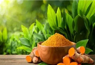  زردچوبه لاغر کننده قوی