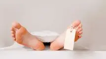 گازگرفتگی زن و شوهر مسافر در سواحل شمالی