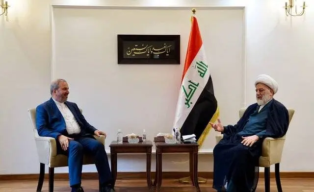 رئیس مجلس اعلای عراق با سفیر ایران دیدار کرد