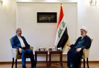 رئیس مجلس اعلای عراق با سفیر ایران دیدار کرد
