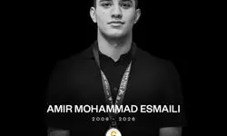 ملی پوش واترپلو درگذشت