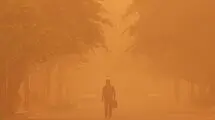 خودکفایی در تولید گرد و غبار