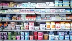 دامداران با نرخ های دلخواه اقدام به عرضه محصولات لبنی می کنند