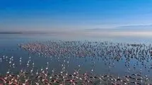 احیای تالاب میانکاله با قوت در دستور کار است