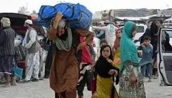 تبعید خاموش
