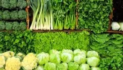 قیمت سبزیجات برگی و غیربرگی اعلام شد
