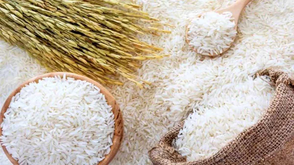 بازار برنج تا دو هفته دیگر به تعادل می رسد