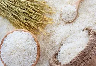 بازار برنج تا دو هفته دیگر به تعادل می رسد