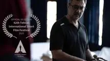 اکران «رنگ‌ها همه سیاه هستند»، در بخش اصلی جشنواره فیلم کوتاه تهران