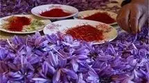 زعفران نگین ۱۹۴ میلیون تا ۲۰۳ میلیون تومان قیمت خورد