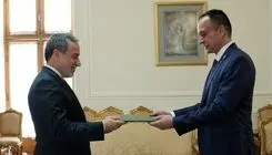 نماینده جدید فائو با عراقچی دیدار کرد
