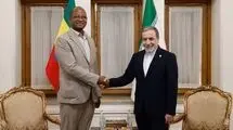 دیدار رئیس مجلس نمایندگان اتیوپی با عراقچی