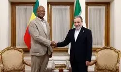 دیدار رئیس مجلس نمایندگان اتیوپی با عراقچی