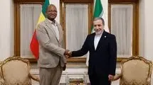 دیدار رئیس مجلس نمایندگان اتیوپی با عراقچی