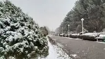 برف مسافران تهران-مشهد را غافلگیر کرد