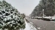 برف مسافران تهران-مشهد را غافلگیر کرد