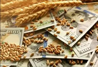 بورس غلات بریکس، طرحی که فقط روی کاغذ قابل اجراست؟