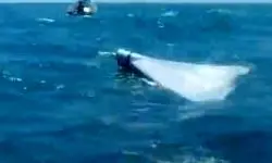 سرنگونی یک پهپاد انتحاری در منطقه سیریک توسط سپاه پاسداران