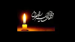 دولت: ۷ روز تعطیل عمومی و ۴۰ روز عزای عمومی است