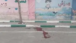 آخرین آمار دانش‌آموزان و معلمان شهید و مجروح در کشور اعلام شد