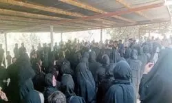  خودکشی سه دختر به دنبال تهدید اخاذی اینترنتی و فشار اجتماعی 