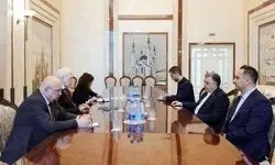 صانعی با سفیر روسیه رایزنی کرد