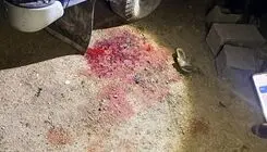 جنایت جدید آمریکایی صهیونی در روستای کفری شیراز + عکس 