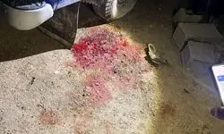 جنایت جدید آمریکایی صهیونی در روستای کفری شیراز + عکس 
