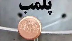 پلمب یک کشتارگاه گوشت الاغ در شهریار