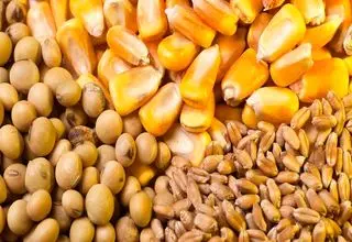 واردکنندگان نهاده ۲ میلیارد یورو از دولت طلب دارند