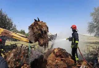 ۸۴۰ میلیون تومان علوفه دود شد!