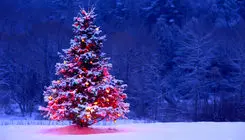 کریسمس، بهانه‌ای برای شادی