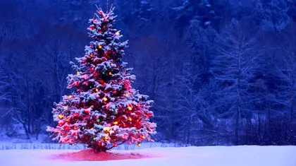 کریسمس، بهانه‌ای برای شادی