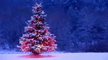 کریسمس، بهانه‌ای برای شادی