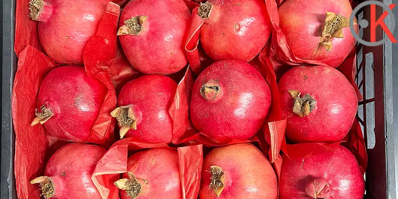 صادرات انار به ارزش یک میلیون و ۷۰۰ هزار دلار به کشورهای مختلف طی هفت ماه