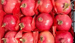 صادرات انار به ارزش یک میلیون و ۷۰۰ هزار دلار به کشورهای مختلف طی هفت ماه